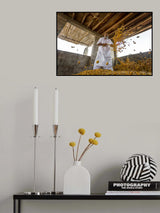 Dates harvest season Poster och Canvastavla