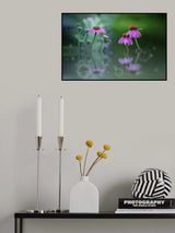 Summer garden Poster och Canvastavla