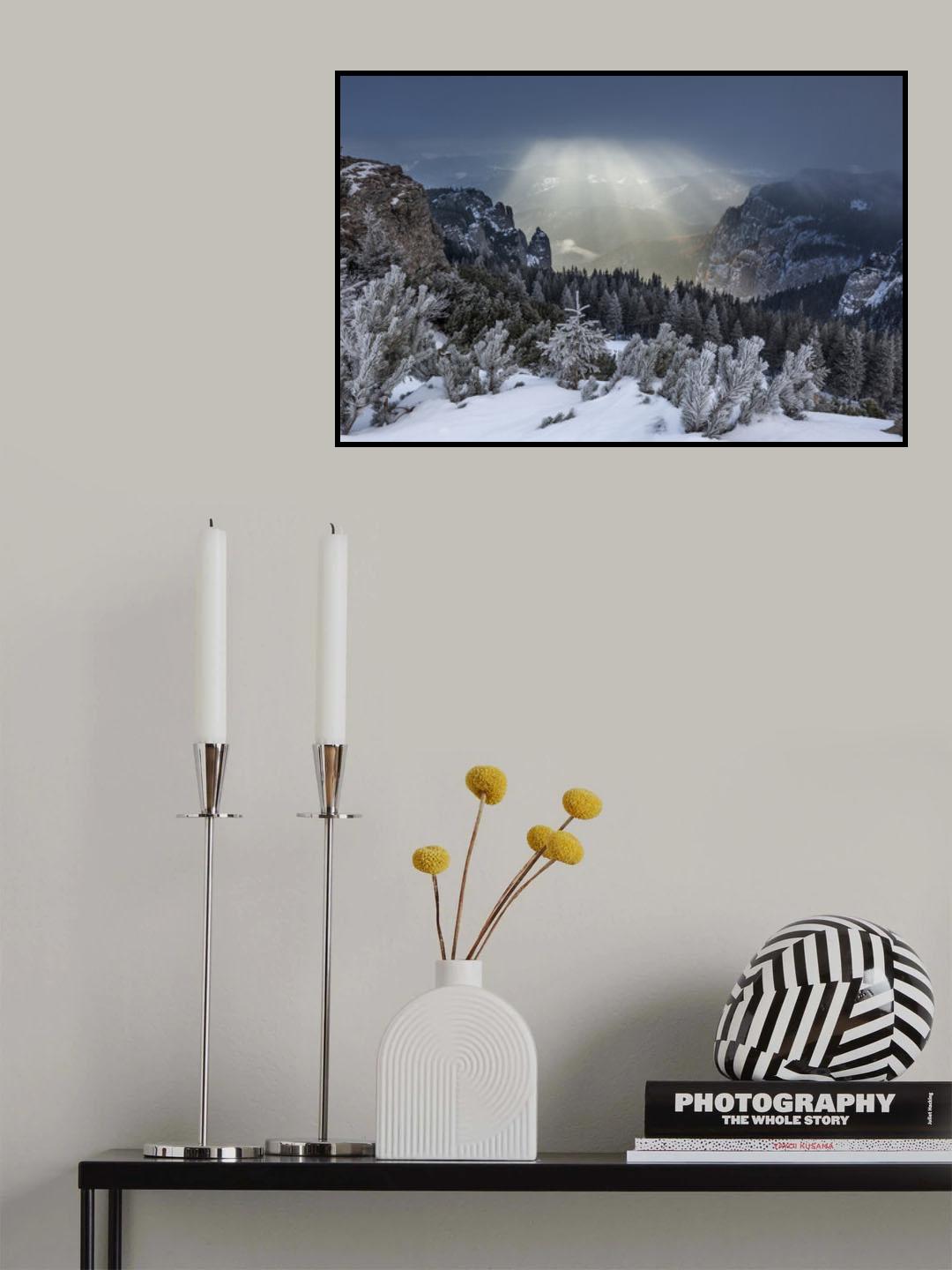 The Curtain Poster och Canvastavla