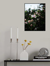 Hibiscus 01 Poster och Canvastavla