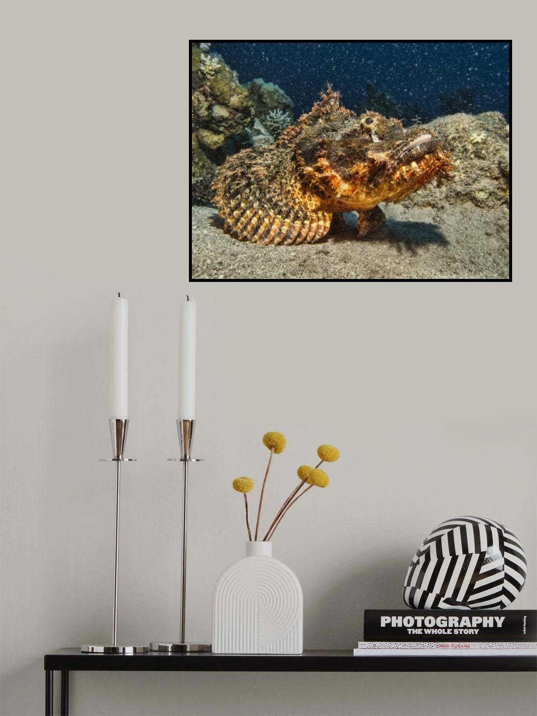 Starry Starry night Poster och Canvastavla