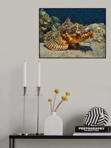 Starry Starry night Poster och Canvastavla
