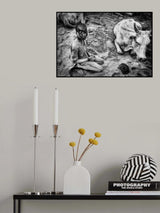 Poster och Canvastavla