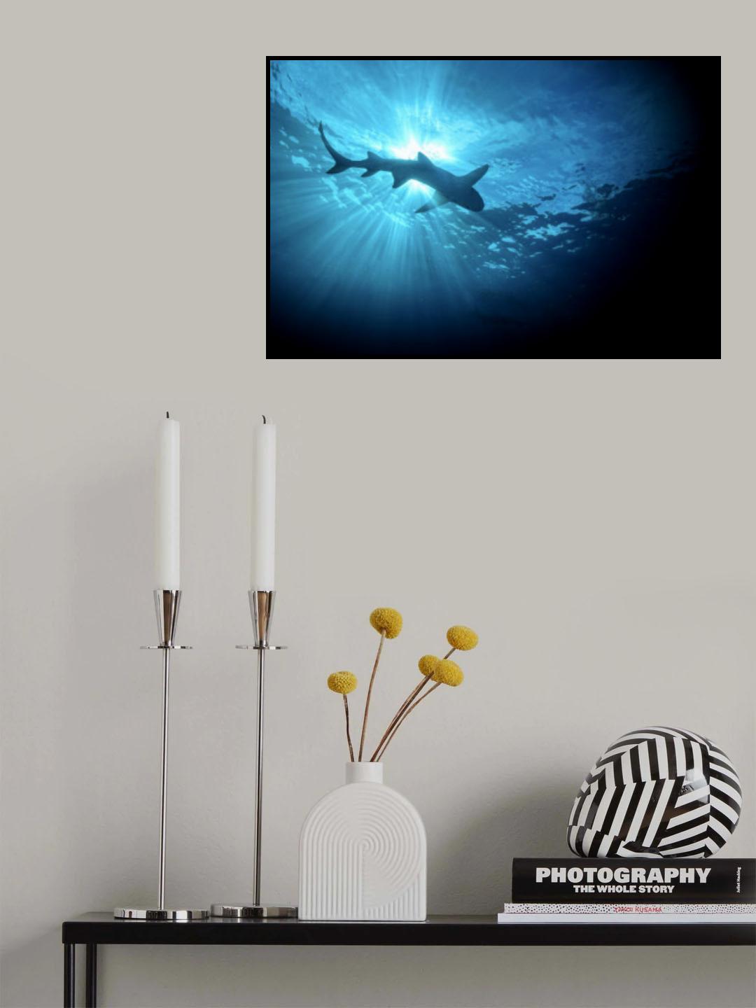 Shadow Poster och Canvastavla