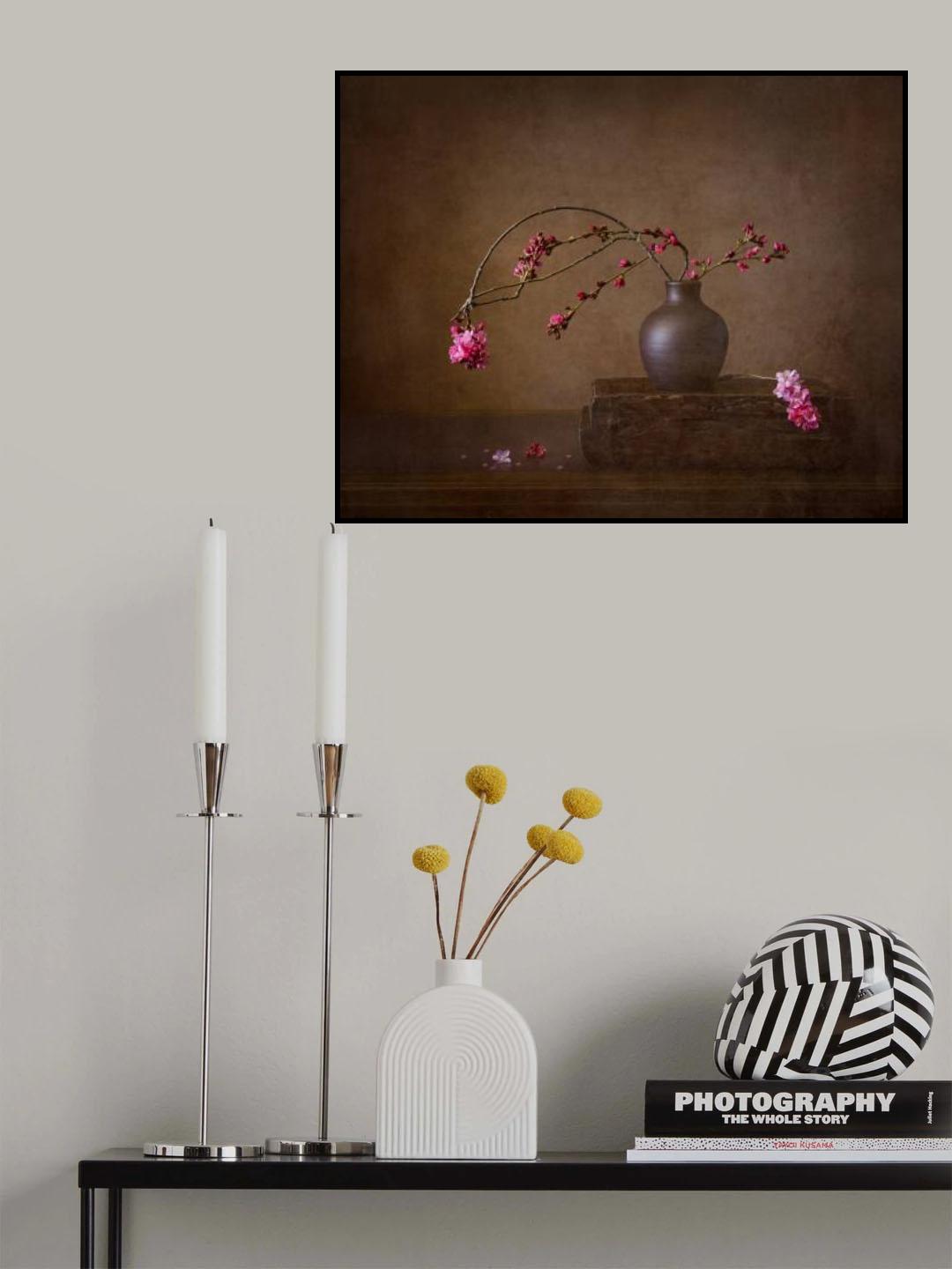 Early cherry blossoms Poster och Canvastavla