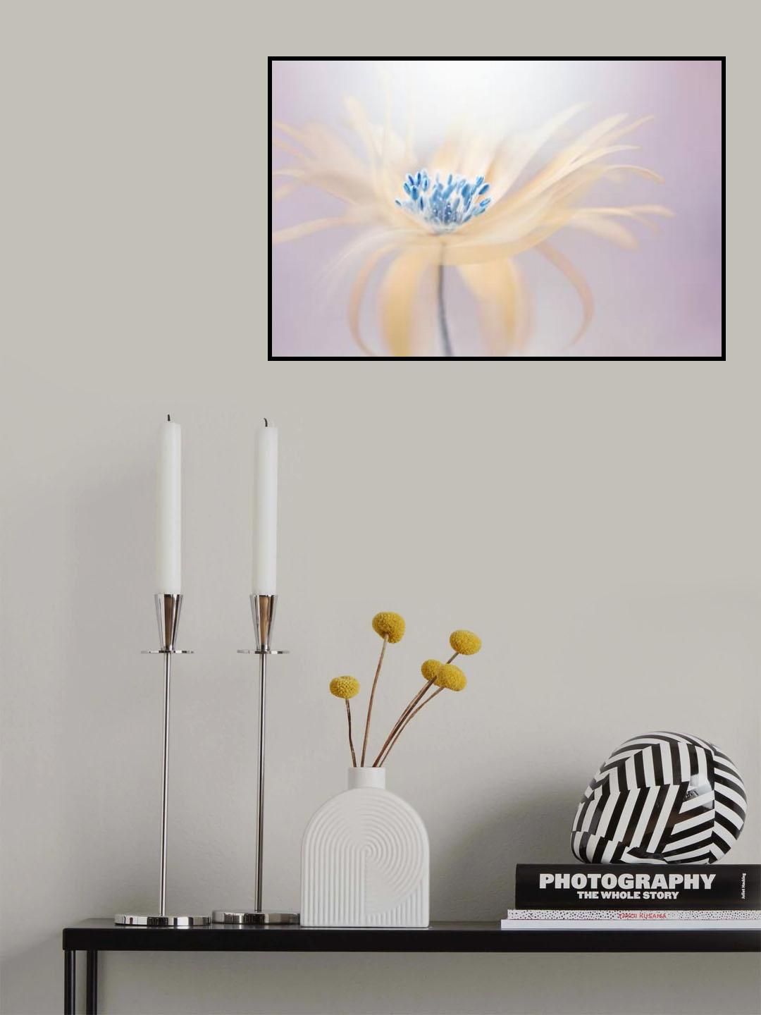 Shine Poster och Canvastavla
