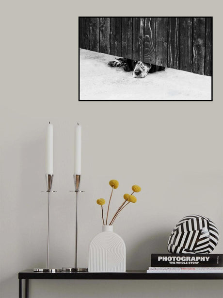 Wish Poster och Canvastavla