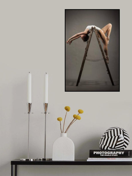 how to use a ladder Poster och Canvastavla