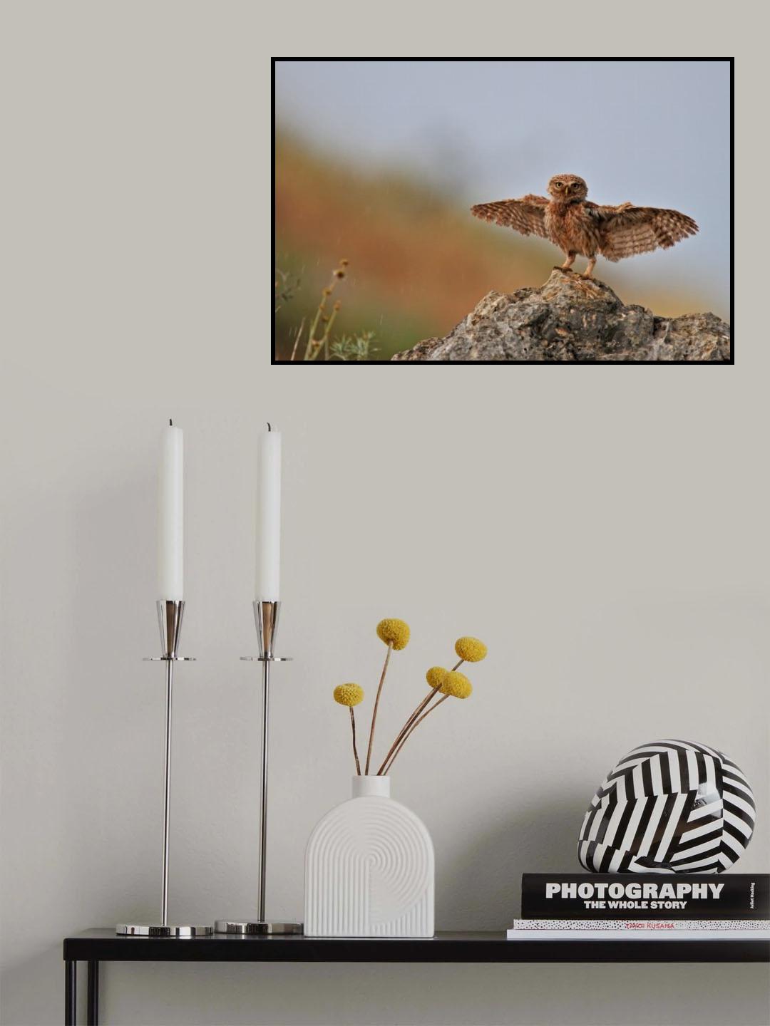 I can fly..!!!!!! Poster och Canvastavla