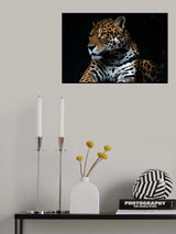 Captive wild Poster och Canvastavla