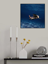 circle of life Poster och Canvastavla