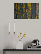 Green algae lake Poster och Canvastavla