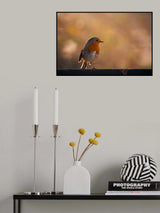 Light through the trees Poster och Canvastavla