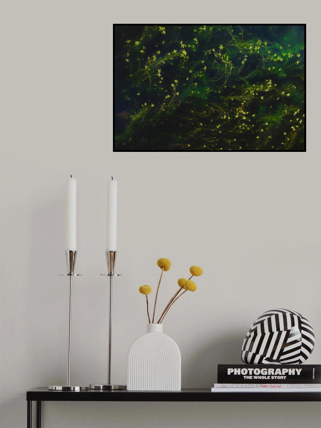 Solaris Poster och Canvastavla