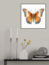 Butterfly 30 Poster och Canvastavla