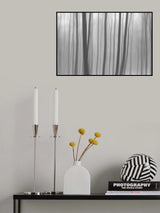 Trees In Forest 8 Poster och Canvastavla