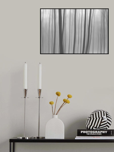 Trees In Forest 8 Poster och Canvastavla