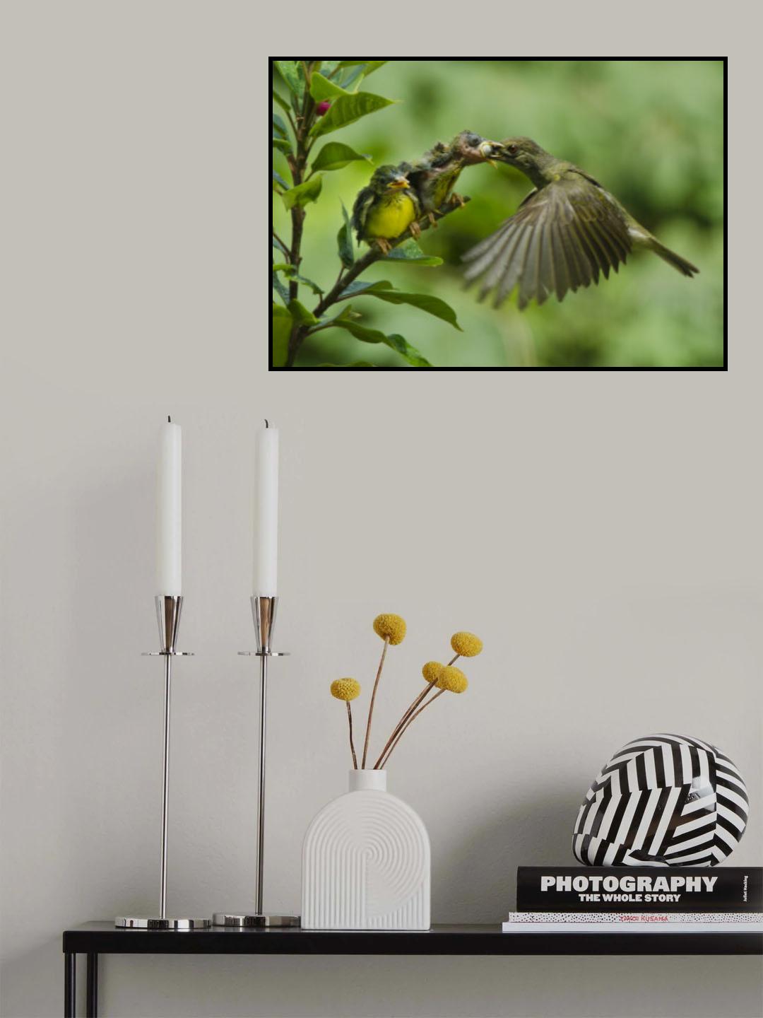 Feeding Poster och Canvastavla