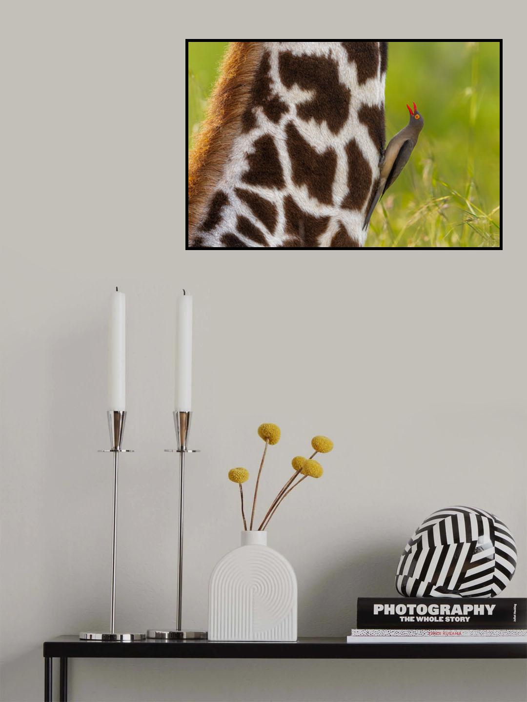 cleaning guy Poster och Canvastavla