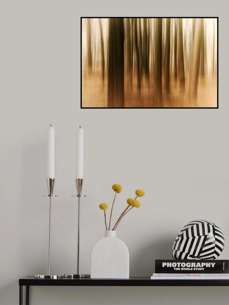 Sunrise in the Forest Poster och Canvastavla