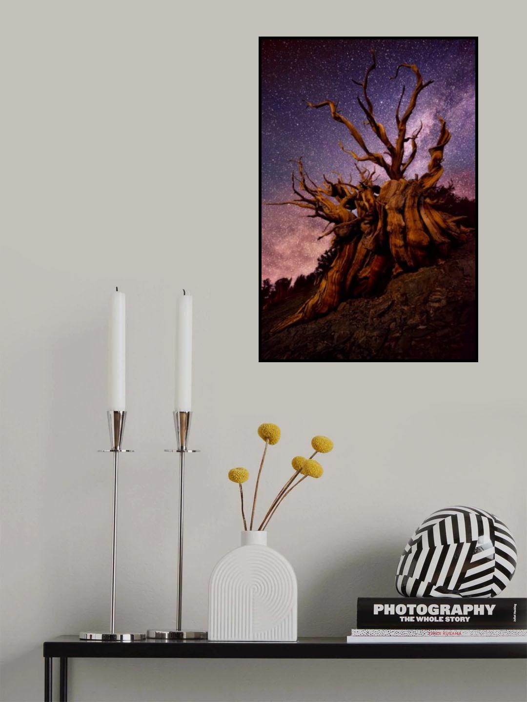 Mountain Sentinel Poster och Canvastavla