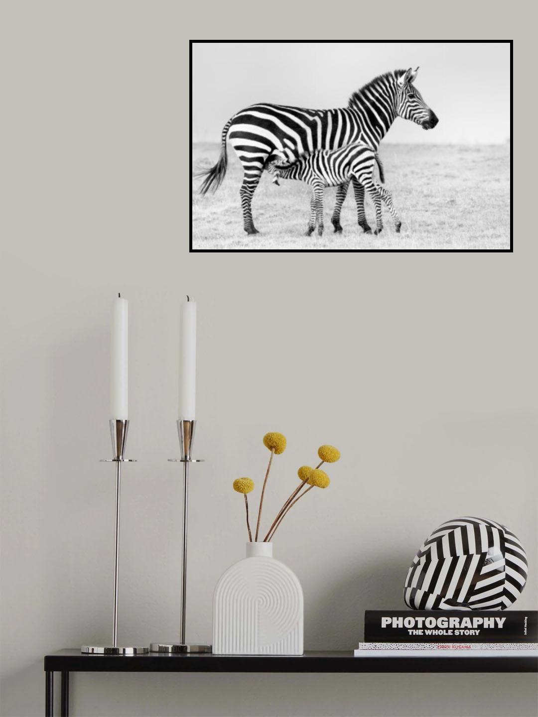 Feeding Poster och Canvastavla