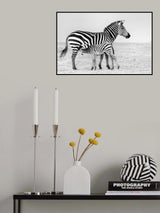 Feeding Poster och Canvastavla