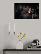The Seeker Poster och Canvastavla