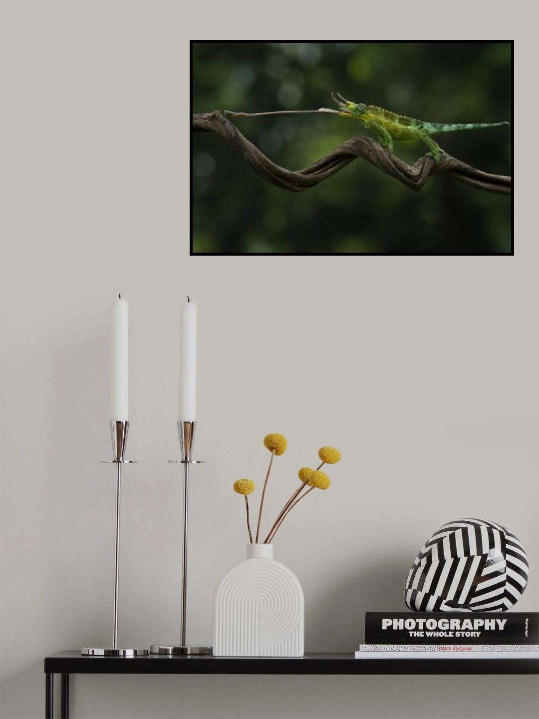 Not long enough Poster och Canvastavla