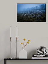 Frosty day Poster och Canvastavla