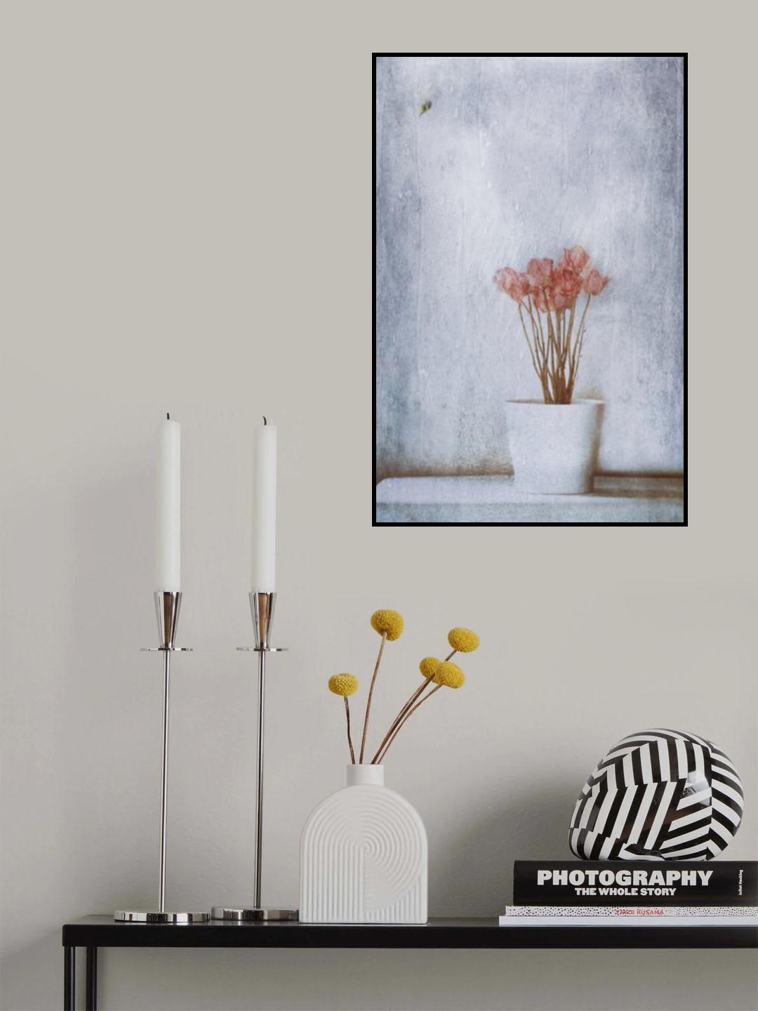 When Summer's Gone... Poster och Canvastavla