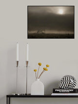 Another day in paradise Poster och Canvastavla