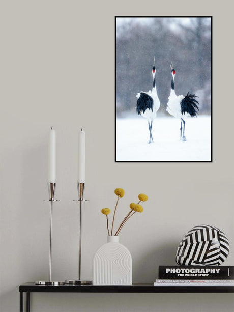 Tsuru (Crane), pair Poster och Canvastavla