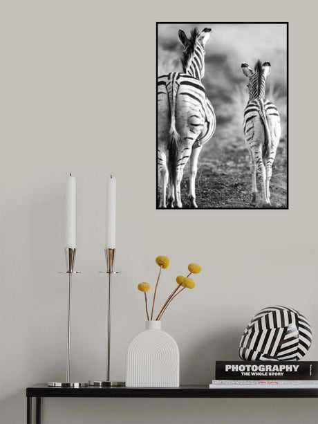 Striped Horse Back Side Poster och Canvastavla