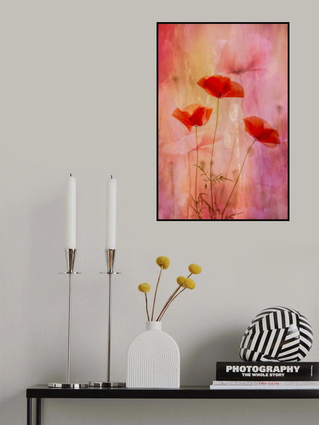 fragility Poster och Canvastavla