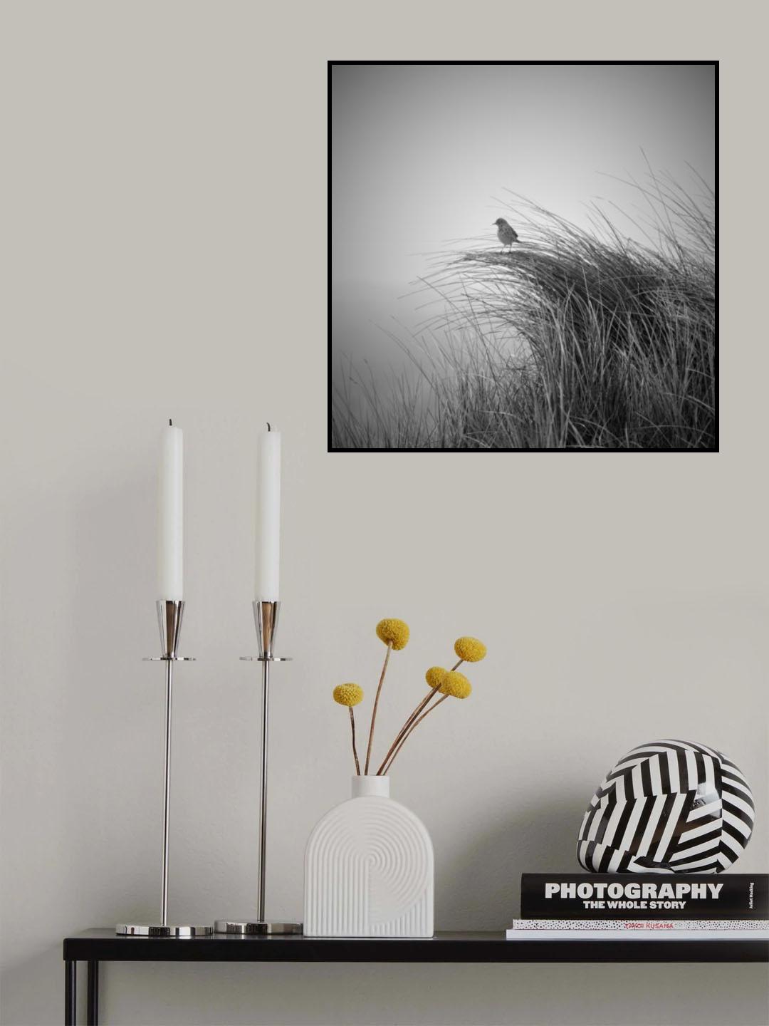 Lark in dune grass Poster och Canvastavla