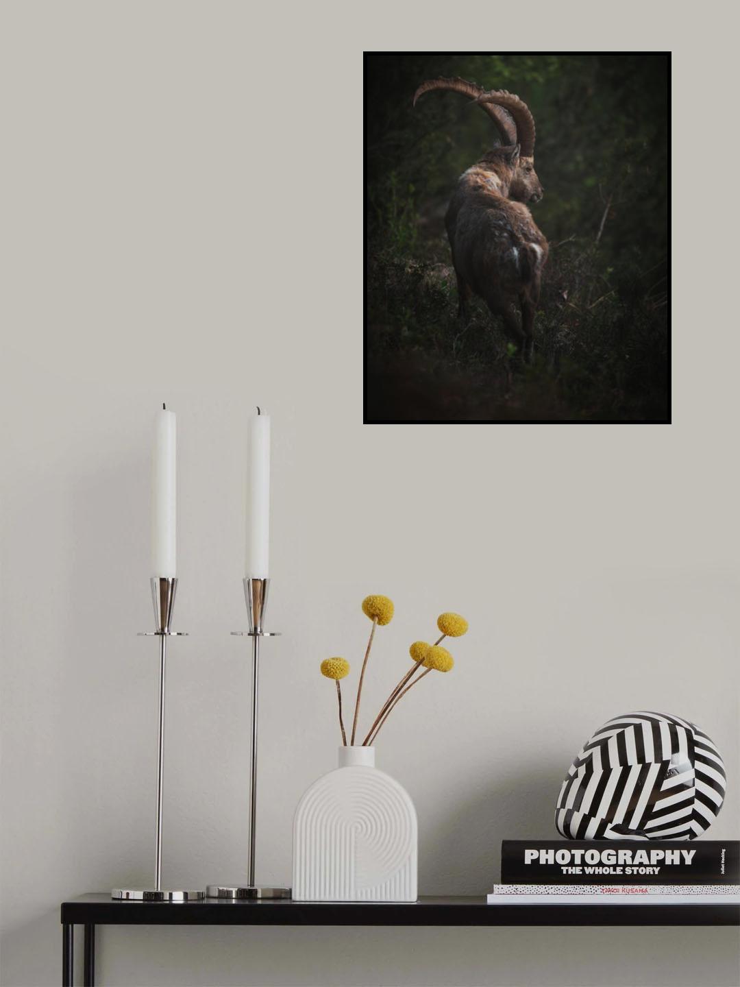 In the deep forest Poster och Canvastavla
