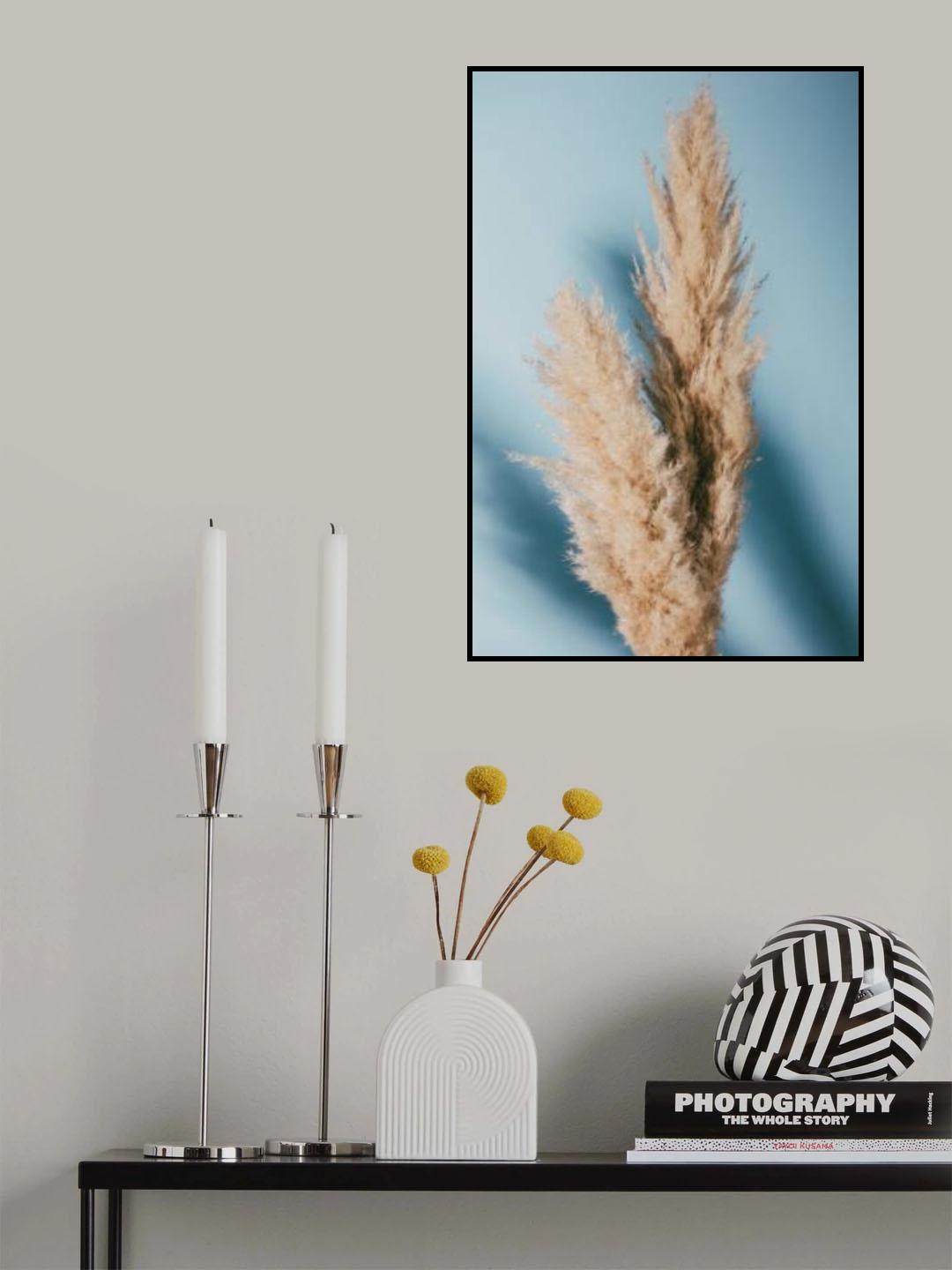 Pampas Grass Blue Poster och Canvastavla