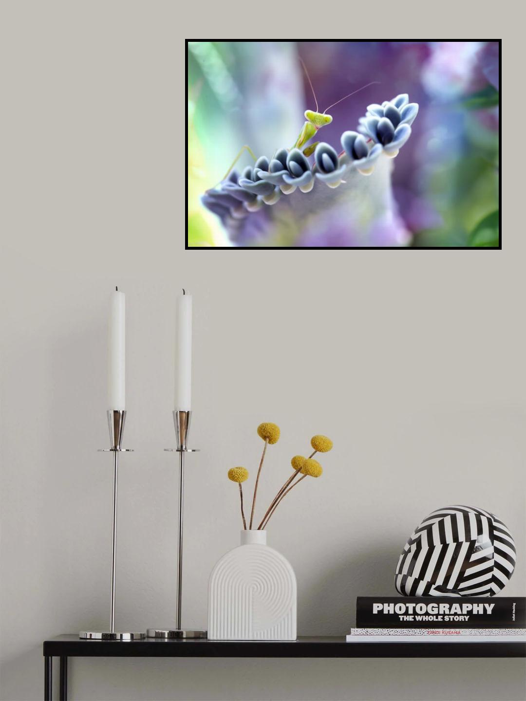 Colorful of Mantis World Poster och Canvastavla