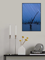 Immortal Poster och Canvastavla