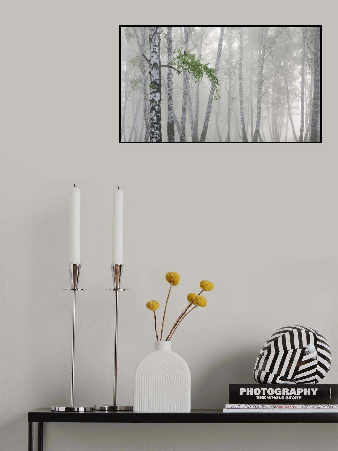 Non-flying weather Poster och Canvastavla