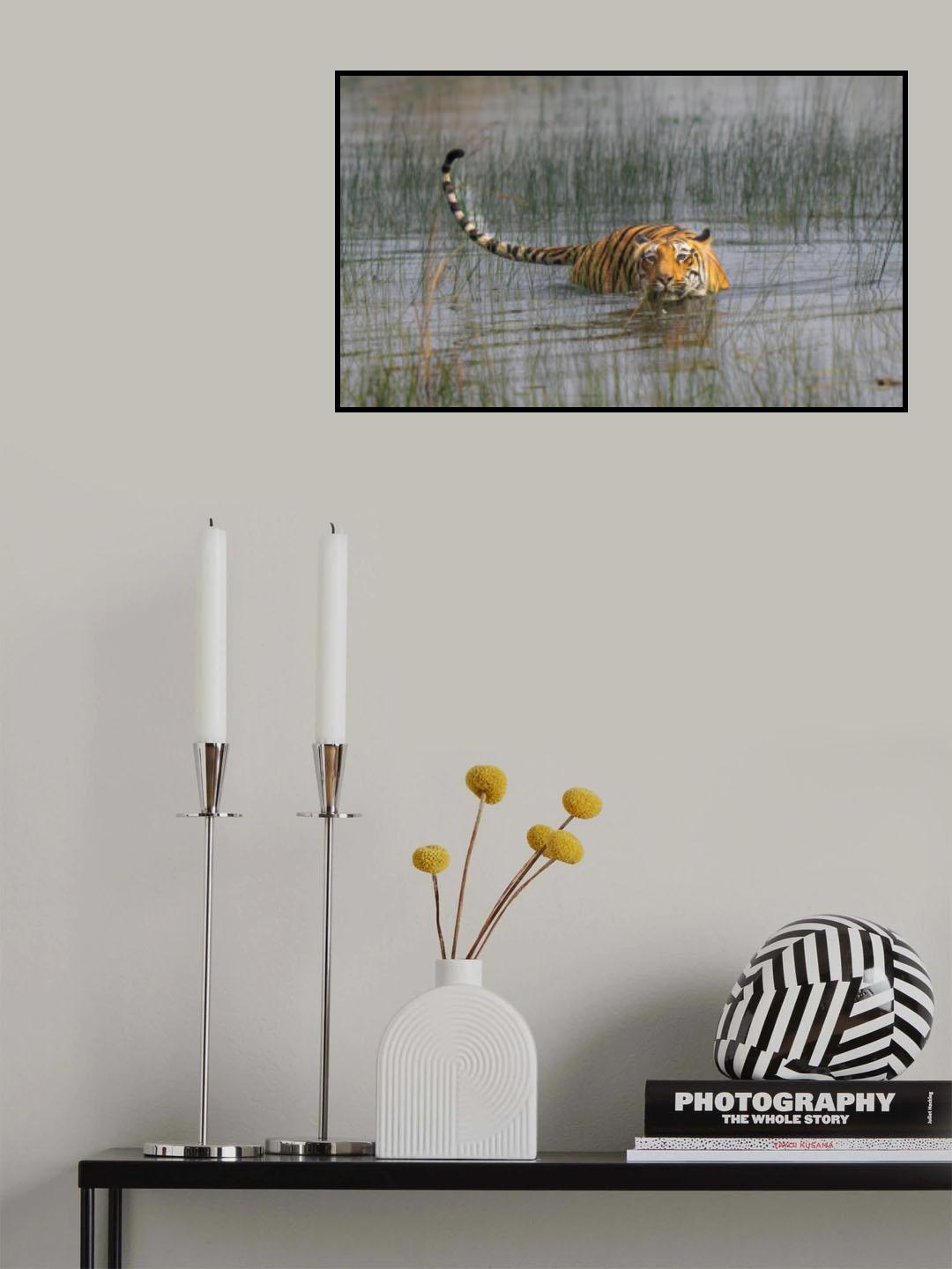 anyone game for a swim Poster och Canvastavla