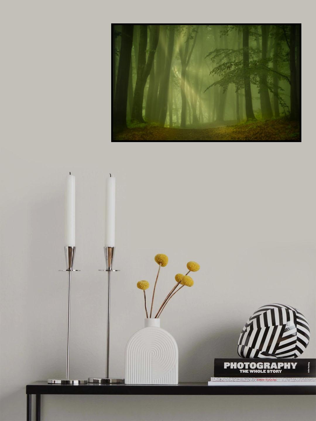 Magic forest Poster och Canvastavla