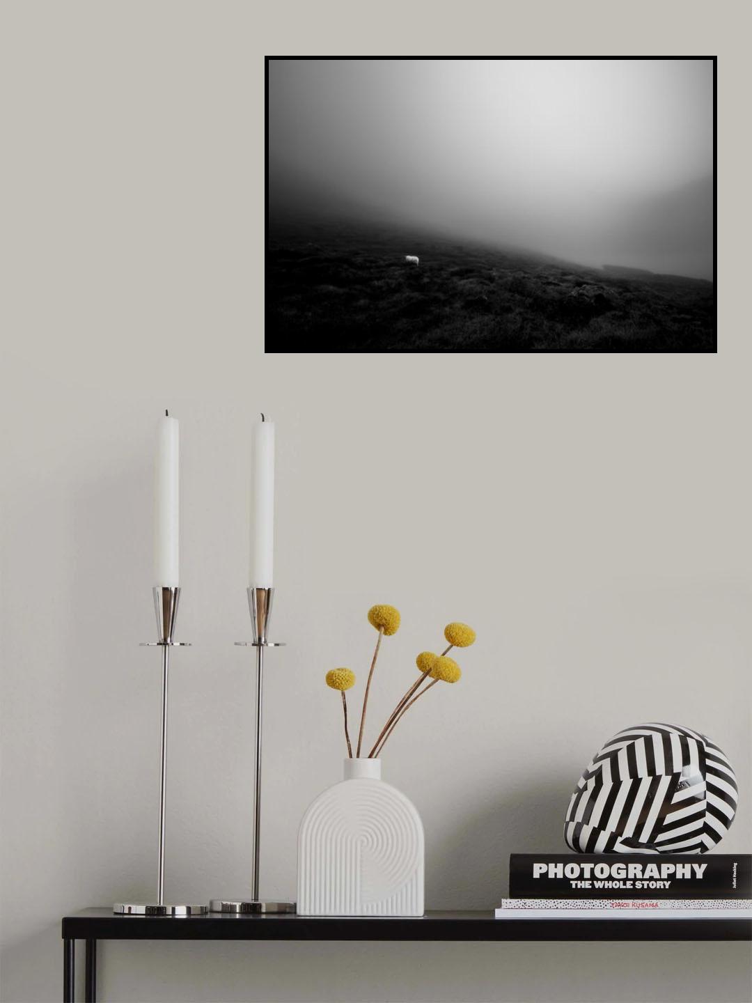 Seeking Poster och Canvastavla