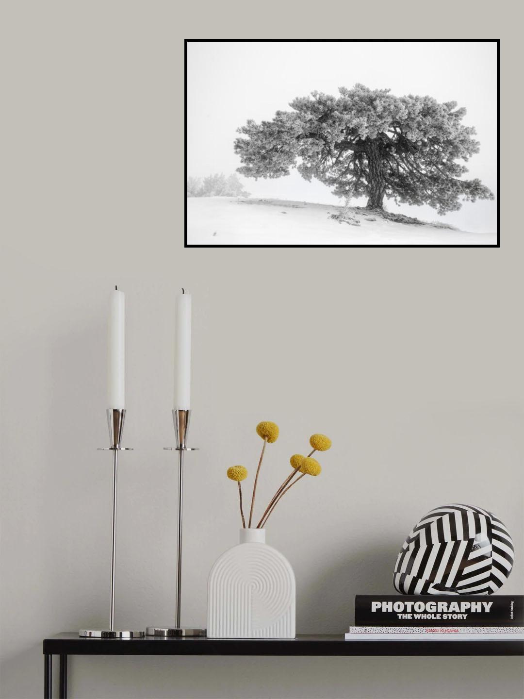 Let it Snow 02 Poster och Canvastavla
