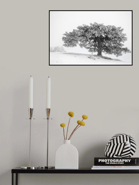 Let it Snow 02 Poster och Canvastavla