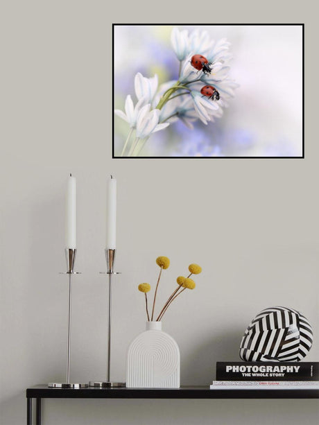 Ladybirds Poster och Canvastavla