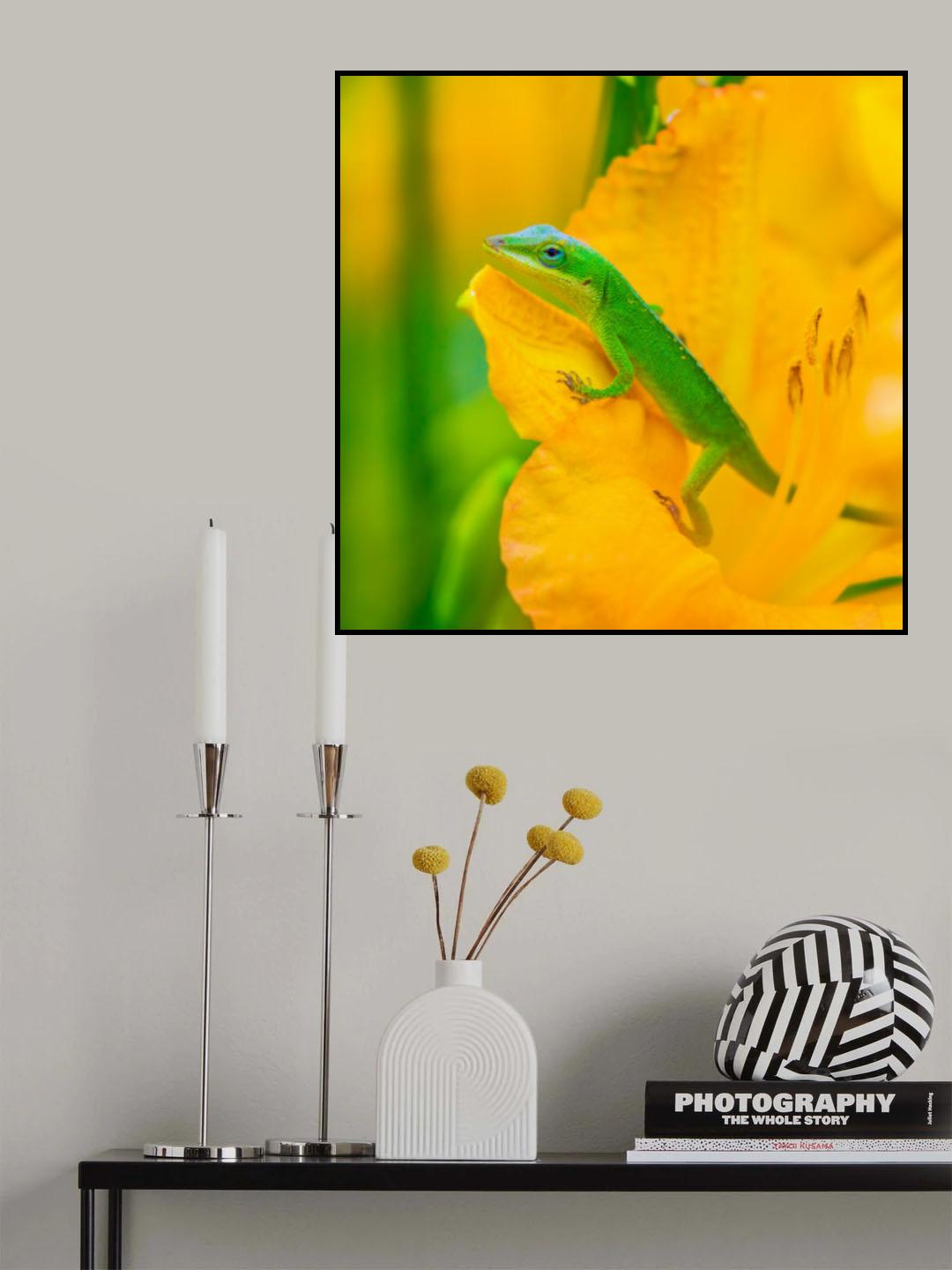 A Green Anole in A Flower Poster och Canvastavla