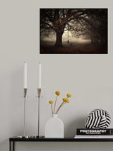 Dark Side of the Woods... Poster och Canvastavla
