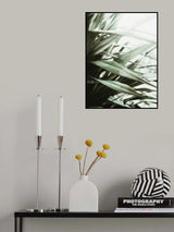 Phormium I Poster och Canvastavla